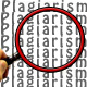 Plagiarism Detection Tool
